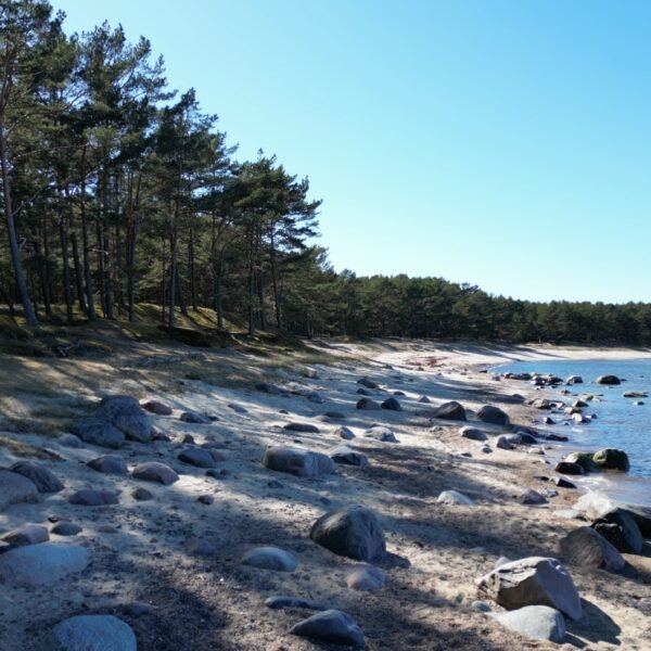 Alternative view of Drone footage standard package